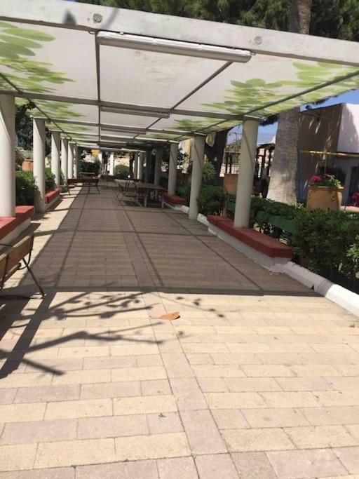 Vacaciones Canet Playa - En Primera Linea Canet d'En Berenguer Ngoại thất bức ảnh